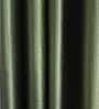 Green Solid Polyester 5 Ft Light Filtering Eyelet Window Curtains (Set of 2)