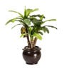 Polyester Green Bonsai Banana With Ceramic Pot Artificial Plants
