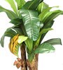 Polyester Green Bonsai Banana With Ceramic Pot Artificial Plants