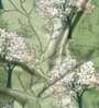 Green Floral Polyester 7 Ft Semisheer Eyelet Door Curtains (Set of 2)