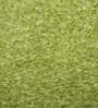Green Polyester 36 x 24 Inches Shaggy Floor Runner