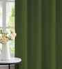 Green Polyester Solid 5ft Greenout Eyelet Window Curtain (1 Pc)