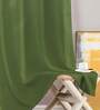 Green Polyester Solid 9ft Greenout Eyelet Door Curtain (2 Pc)