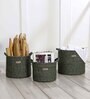 Green Polypropylene 52 Ltr (3Pcs) Storage Basket
