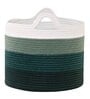 Green Polypropylene 52 Ltr (3Pcs) Storage Basket