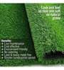 Green Polypropylene High Density (20 Mm) 6.5 X 3 Feet Carpet Artificial Grass