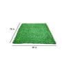 Green Polypropylene High Density (20 Mm) 6.5 X 3 Feet Carpet Artificial Grass