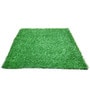 Green Polypropylene High Density 6.5 X 4 Feet Carpet (20 Mm) Artificial Grass
