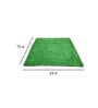 Green Polypropylene High Density 6 X 2 Feet Carpet (20 Mm) Artificial Grass