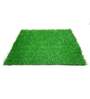 Green Polypropylene High Density 6 X 2 Feet Carpet (25 Mm) Artificial Grass