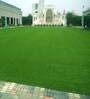 Green Polypropylene High Density 6 X 2 Feet Carpet (25 Mm) Artificial Grass