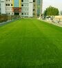 Green Polypropylene High Density 6 X 2 Feet Carpet (35 Mm) Artificial Grass