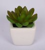 Polyester Isabel Artificial Green Paperweight Bonsai With Pot Artificial Plant