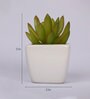 Artificial Green Paperweight Bonsai with Pot