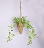 Green Artificial Creeper Bonsai with Jute Bag