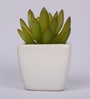 Artificial Green Paperweight Bonsai with Pot