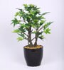 Green Artificial Maple Bonsai Plant with Ceramic Pot