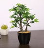 Green Artificial Maple Bonsai Plant with Ceramic Pot