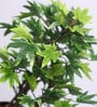 Green Artificial Maple Bonsai Plant with Ceramic Pot
