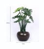 Green Artificial Happy Philo Bonsai Plant with Ceramic Pot