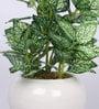 Green Artificial Bonsai Plant with Pot
