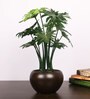 Green Artificial Happy Philo Bonsai Plant with Ceramic Pot