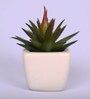 Polyester Artificial Green Paperweights Bonsai With Pot Artificial Plants