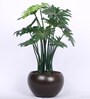 Green Artificial Happy Philo Bonsai Plant with Ceramic Pot