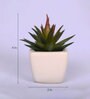 Polyester Artificial Green Paperweights Bonsai With Pot Artificial Plants