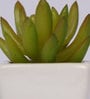 Artificial Green Paperweight Bonsai with Pot