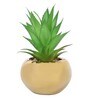 Polyurethane Lucy Green Succculent In Ceramic Pot Artificial Plant