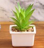 Polyurethane Luna Green Succculent In Ceramic Pot Artificial Plant