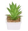 Polyurethane Luna Green Succculent In Ceramic Pot Artificial Plant