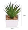 Polyurethane Della Green Succculent In Ceramic Pot Artificial Plant