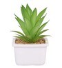 Polyurethane Luna Green Succculent In Ceramic Pot Artificial Plant