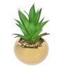 Polyurethane Lucy Green Succculent In Ceramic Pot Artificial Plant