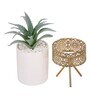 Polyurethane Wade Green Succculent In Ceramic Pot With Metal Stand Artificial Plant