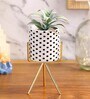Polyurethane Waze Green Succculent In Ceramic Pot With Metal Stand Artificial Plant