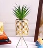 Polyurethane Green Succculent In Ceramic Pot With Metallic Stand Artificial Plants