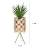 Polyurethane Green Succculent In Ceramic Pot With Metallic Stand Artificial Plants