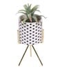 Polyurethane Waze Green Succculent In Ceramic Pot With Metal Stand Artificial Plant