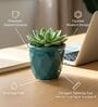 Green Ceramic 4-Inch Flower Pot