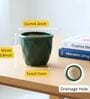 Green Ceramic 4-Inch Flower Pot