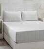 Green Assorted 144 TC Cotton Queen Size Bedsheet with 2 Pillow Covers,2 Bath Towels and 1 Box