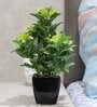 Green PVC Artificial Bonsai Plant With Black Ceramic Pot