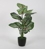 Green PVC Artificial Plant