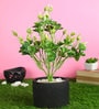 Green PVC Artificial Plant Without Pot