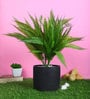 Green PVC Artificial Plant Without Pot