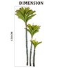 Green PVC Artificial Trio Bromeliad Plant Without Pot