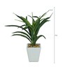 Green Pvc Dracaena Artificial Bonsai With White Ceramic Pot